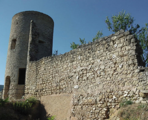 Vestige du château - Maison d'hôtes Provence